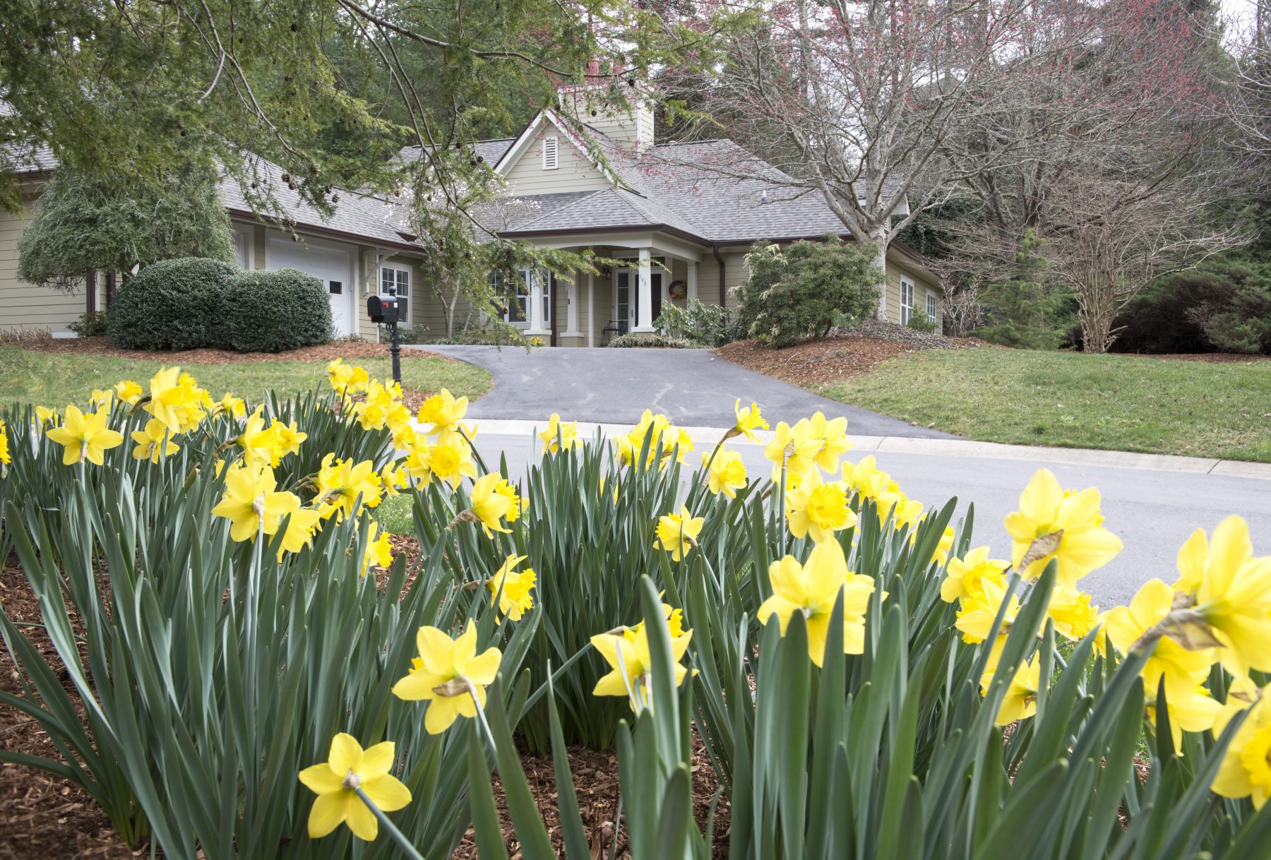 Spring Has Sprung at Deerfield!