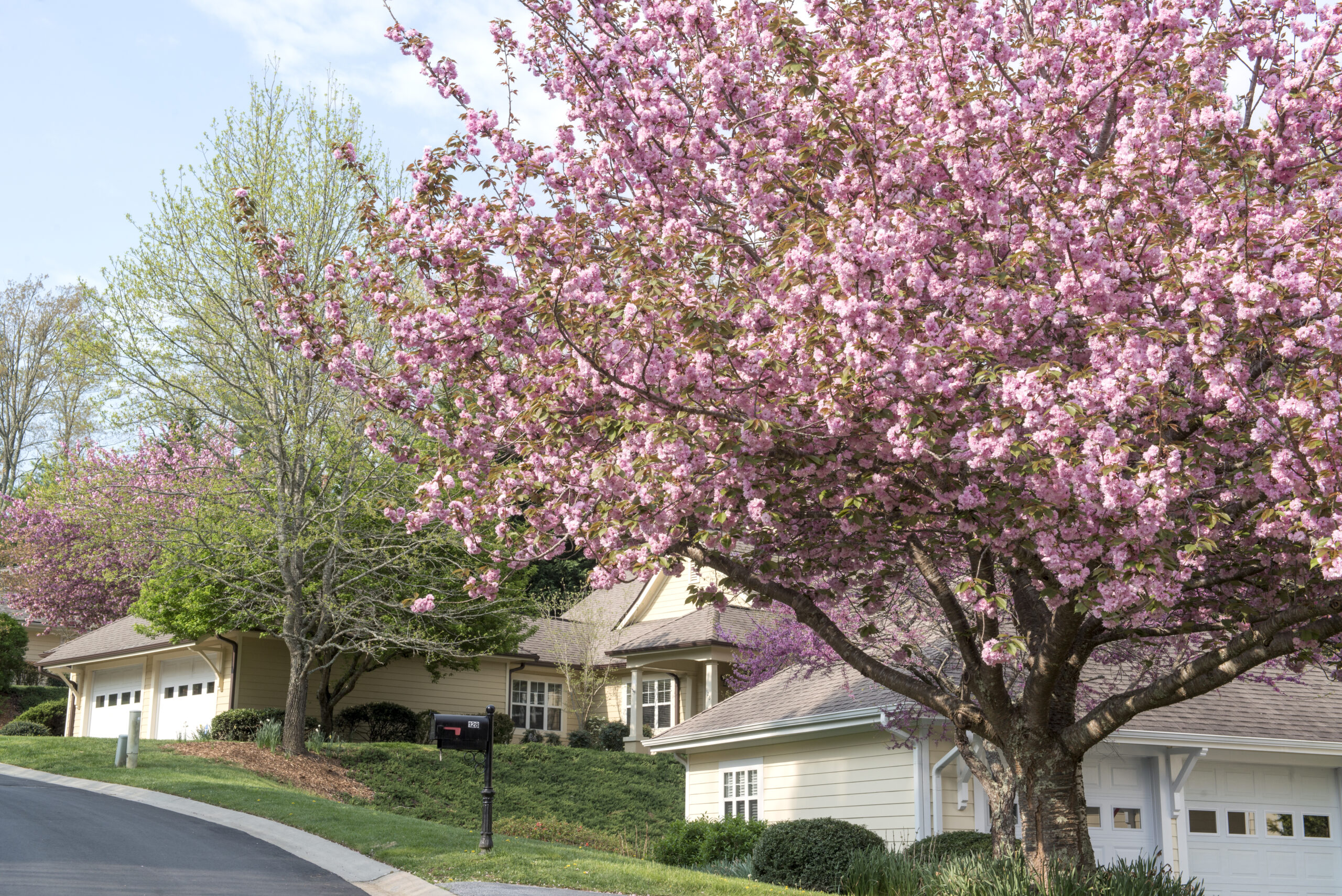 Spring has sprung!